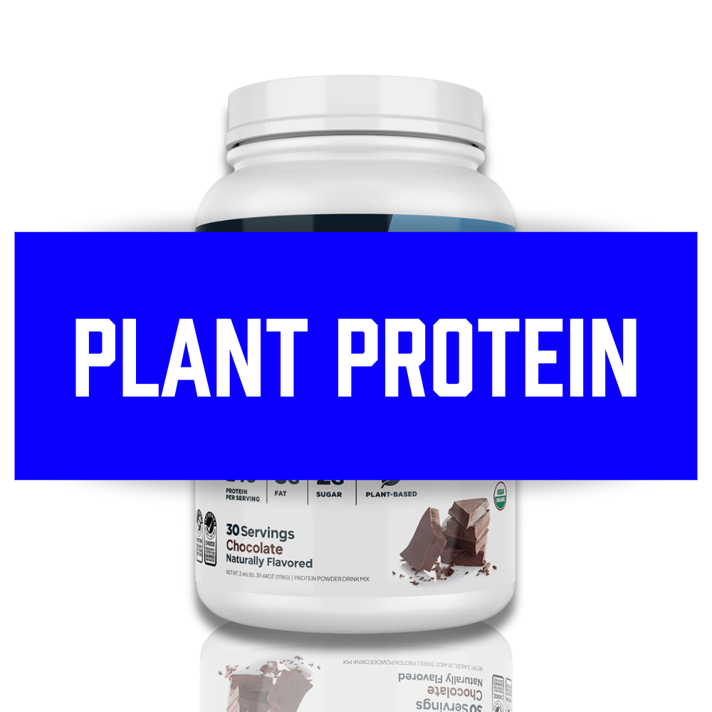 Plant Protein