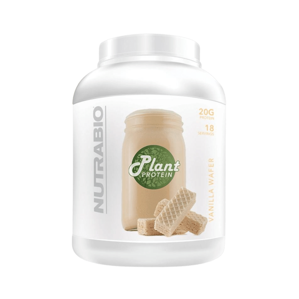 Plant Protein